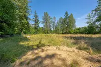 View 65