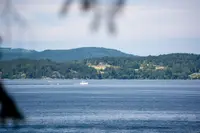 View 16
