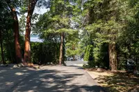 View 40
