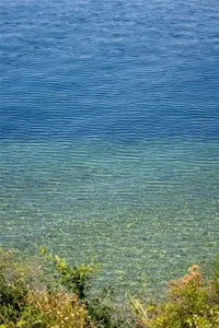 View 29