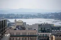 View 31