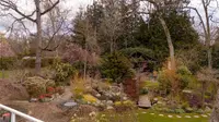 View 40