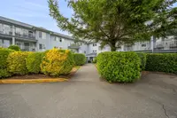 View 24