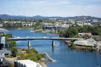 View 39