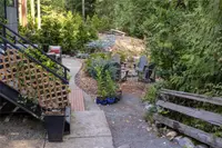 View 49