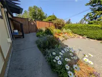 View 85