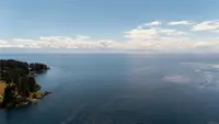 View 82