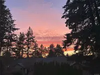 View 16