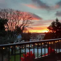 View 62