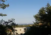 View 73