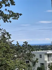 View 67