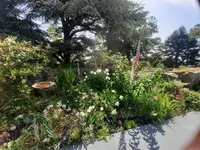 View 69
