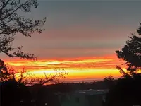 View 61