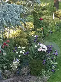 View 68