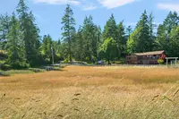 View 51