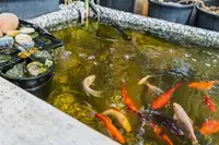 View 10