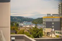 View 42