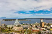 View 61