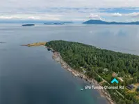 View 61