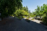 View 50