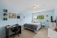 View 37