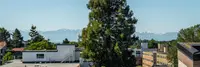 View 25