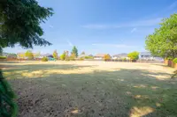 View 40