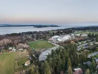 View 50