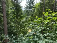 View 16