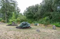 View 50