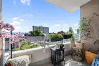 View 17
