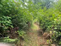 View 19