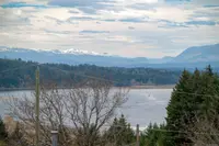 View 5