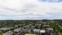 View 44
