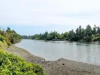 View 24