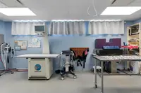 View 16