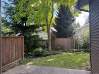 View 15