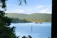 View 84