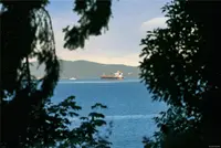 View 45
