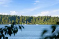 View 15