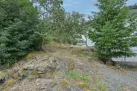 View 46