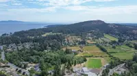 View 35