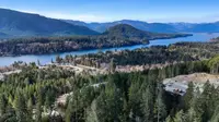 View 50
