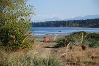 View 49