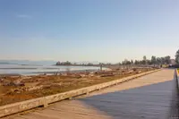 View 55