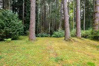 View 59