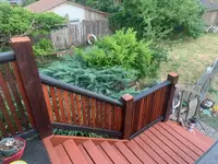 View 11