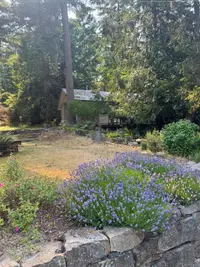 View 72