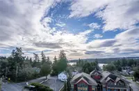 View 19