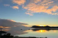 View 40